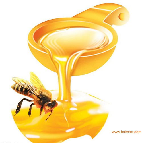 天津蜂蜜进口代理公司,天津蜂蜜进口代理公司生产厂家,天津蜂蜜进口代理公司价格